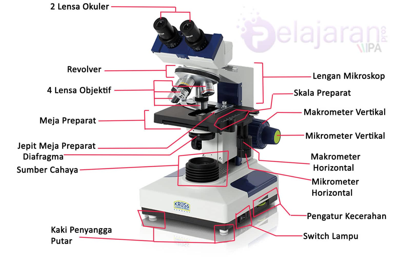 Mikroskop Binokuler - Pengertian; Jenis; Bagian dan Fungsinya Lengkap