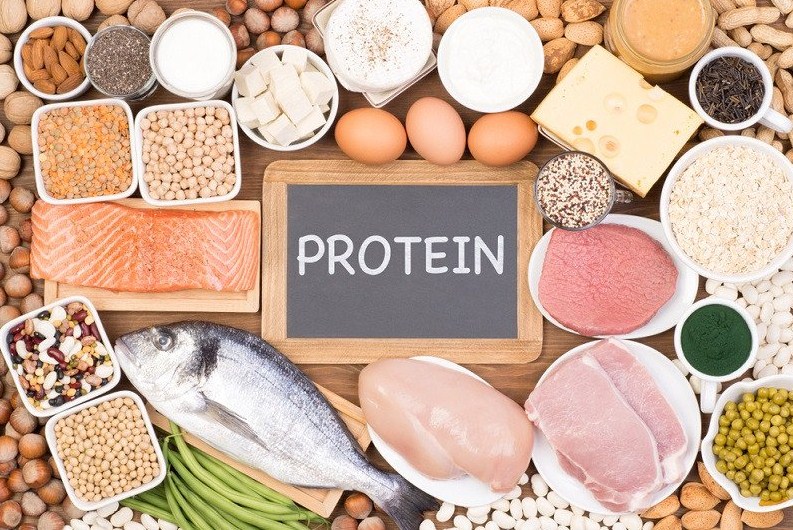 Apa yang dimaksud dengan protein nabati